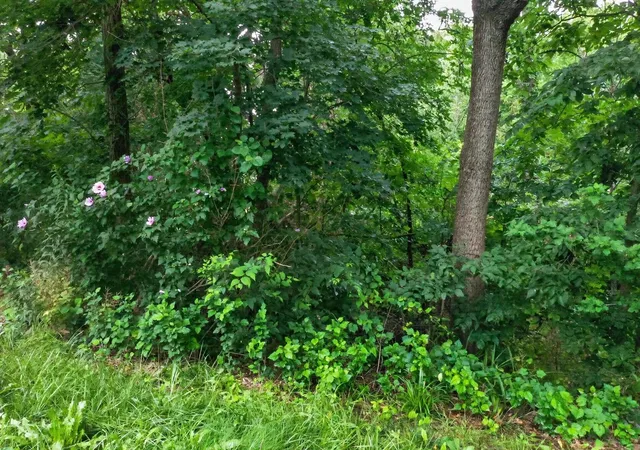 15th image of 0 Eaton Ave, Bartonville, IL 61607 | MLS# 12688794