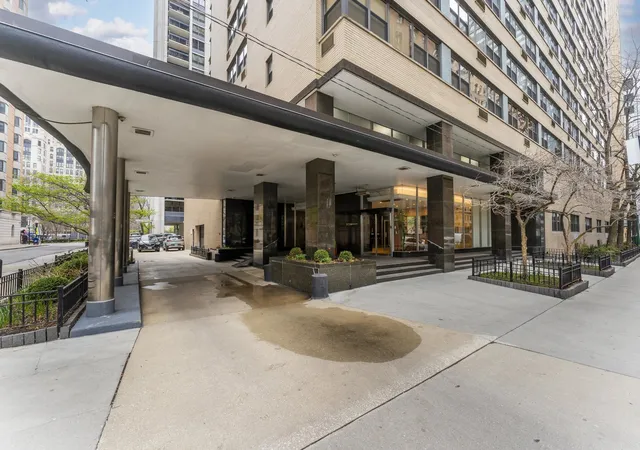 Homes for sale in Chicago, IL | 850 N Dewitt Pl, Chicago, IL 60611