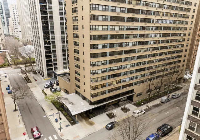 Homes for sale in Chicago, IL | 850 N Dewitt Pl, Chicago, IL 60611