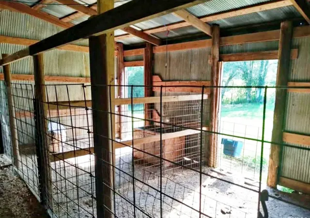 28th image of 5704 Marion Rd, Metropolis, IL 62960 | MLS# 12690261