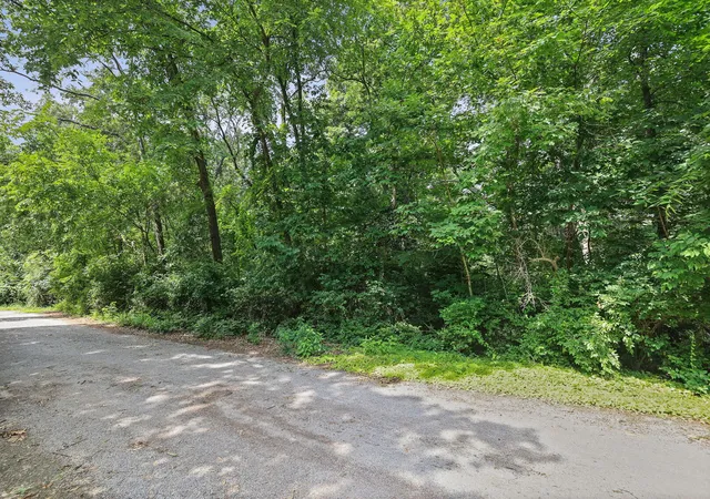 Homes for sale in Mt Vernon, IL | Lot 1 Brookhaven Dr, Mt Vernon, IL 62864 | MLS# 12690297