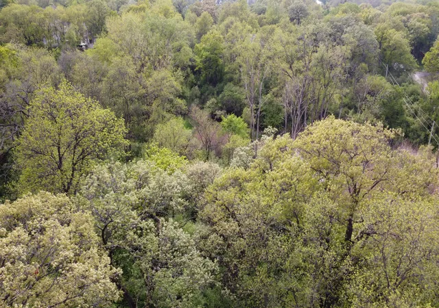 20th image of 120 N Rainbow Rd, North Barrington, IL 60010 | MLS# 12690426