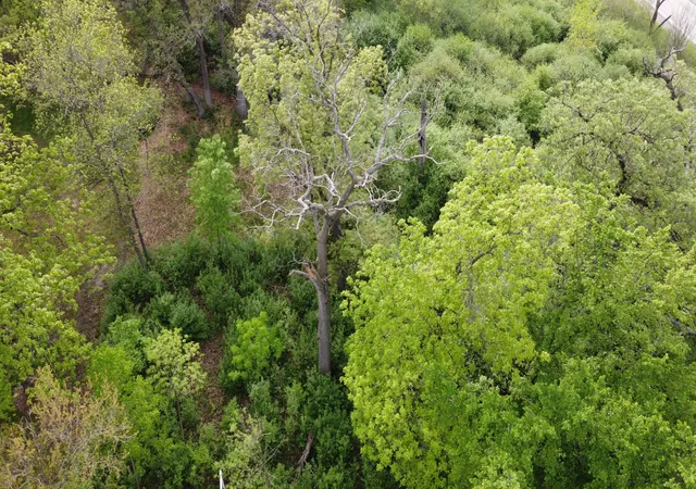 3rd image of 120 N Rainbow Rd, North Barrington, IL 60010 | MLS# 12690426