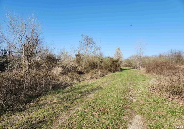 Homes for sale in Mt Vernon, IL | 1300 Tolle Ln, Mt Vernon, IL 62864 | MLS# 12692454
