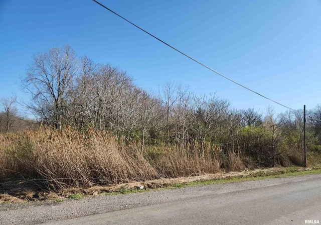 Homes for sale in Mt Vernon, IL | 1300 Tolle Ln, Mt Vernon, IL 62864 | MLS# 12692454