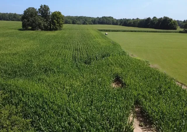 Photo 7 of Land for sale at 0 E Richview Rd, Mt Vernon, IL 62864 | MLS# 12692760 | Listing updated on 2026-07-08