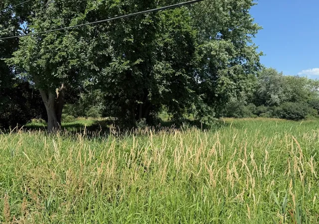 Photo 2 of Land for sale at Lot 12 Tower Dr, Holiday Hills, IL 60051 | MLS# 12693430 | Listing updated on 2026-08-05