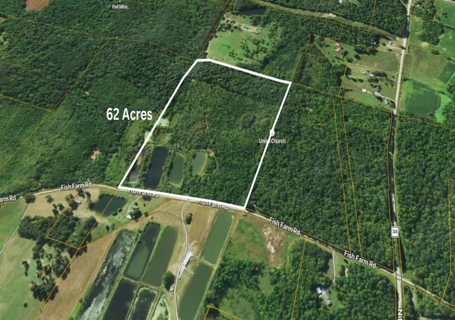 2nd image of 01 Fish Farm Rd, Golconda, IL 62938 | MLS# 12694760