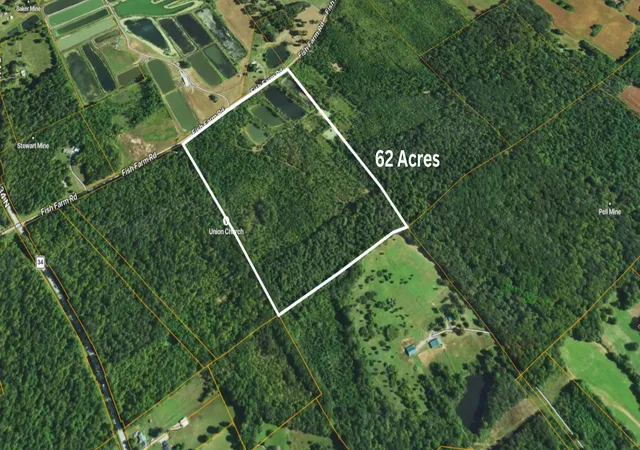 3rd image of 01 Fish Farm Rd, Golconda, IL 62938 | MLS# 12694760