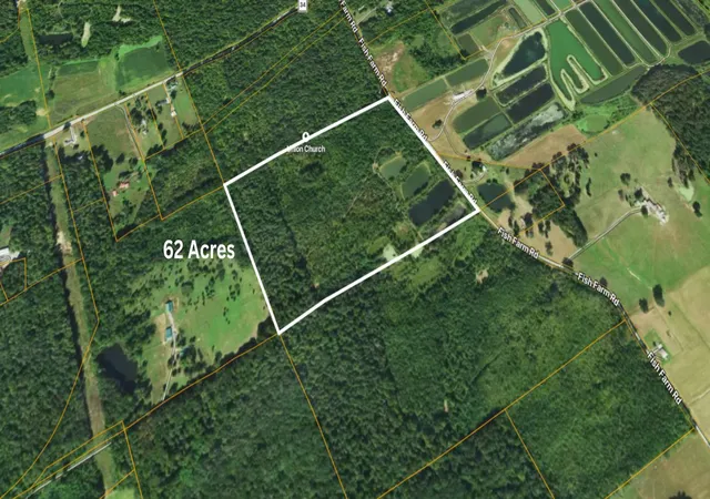 4th image of 01 Fish Farm Rd, Golconda, IL 62938 | MLS# 12694760