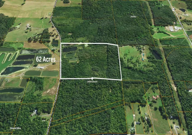 5th image of 01 Fish Farm Rd, Golconda, IL 62938 | MLS# 12694760