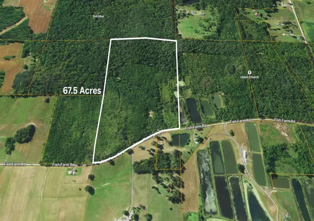 1st image of 70 Fish Farm Rd, Golconda, IL 62938 | MLS# 12694765