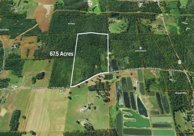 2nd image of 70 Fish Farm Rd, Golconda, IL 62938 | MLS# 12694765