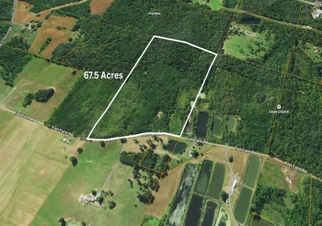 3rd image of 70 Fish Farm Rd, Golconda, IL 62938 | MLS# 12694765