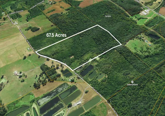 4th image of 70 Fish Farm Rd, Golconda, IL 62938 | MLS# 12694765