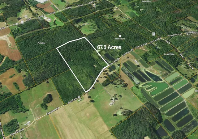 5th image of 70 Fish Farm Rd, Golconda, IL 62938 | MLS# 12694765