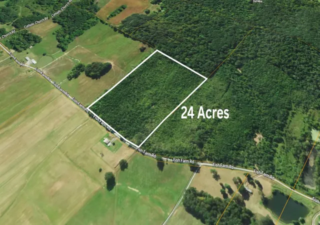3rd image of 72 Fish Farm Rd, Golconda, IL 62938 | MLS# 12696173