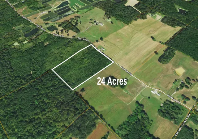 4th image of 72 Fish Farm Rd, Golconda, IL 62938 | MLS# 12696173
