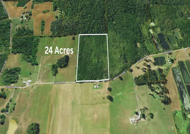 5th image of 72 Fish Farm Rd, Golconda, IL 62938 | MLS# 12696173