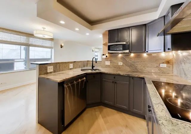 Homes for sale in Chicago, IL | 201 E Chestnut St, Chicago, IL 60611