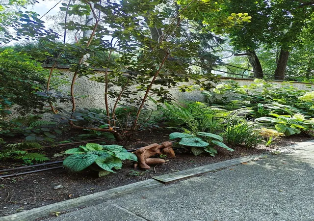 24th image of 734 Noyes St #O2, Evanston, IL 60201 | MLS# 12696952