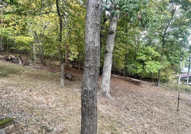 2nd image of 0 Mark Dr, Goreville, IL 62939 | MLS# 12697898