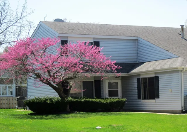 Homes for sale in Buffalo Grove, IL | 31 Buckingham Lane, Buffalo Grove, IL 60089 | Houzeo