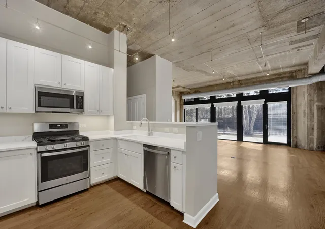 Homes for sale in Chicago, IL | 1071 W 15th St #109, Chicago, IL 60608 | MLS# 12699586