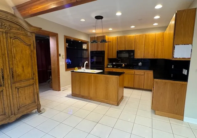 Homes for sale in Chicago, IL | 3309 S Lowe Ave, Chicago, IL 60616 | MLS# 12699872