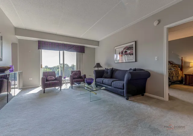 Homes for sale in Wheeling, IL | 100 N Milwaukee Ave #503, Wheeling, IL 60090 | MLS# 12700127