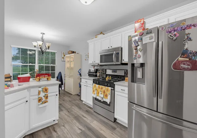 Homes for sale in South Elgin, IL | 1011 N South Elgin Blvd, South Elgin, IL 60177 | MLS# 12701003