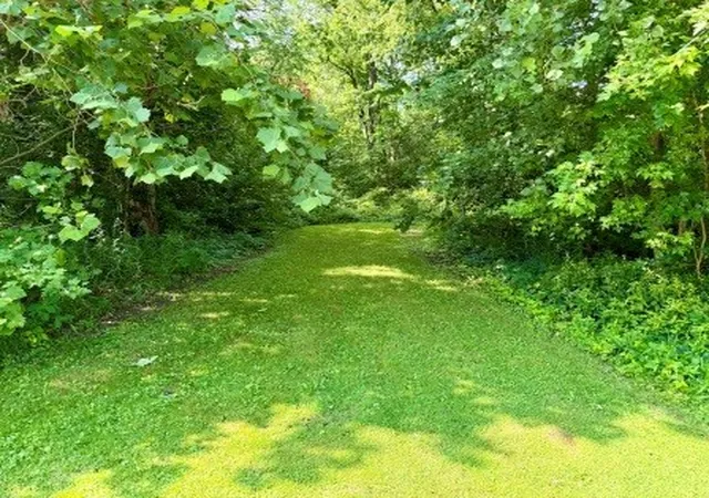 Homes for sale in Momence, IL | 3011 N 15270E Rd, Momence, IL 60954 | MLS# 12701666