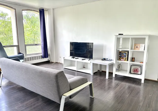 Homes for sale in Chicago, IL | 1401 E 55Th St #315N, Chicago, IL 60615 | MLS# 12702634