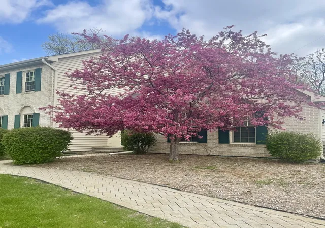 Photo 3 of Single family home for sale at 8s765 Singletree Ln, Naperville, IL 60565 | MLS# 12703540 | Listing updated on 2026-09-16
