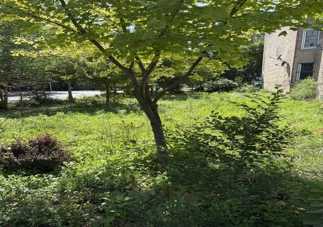Photo 4 of Land for sale at 1449 S Spaulding Ave, Chicago, IL 60623 | MLS# 12703763 | Listing updated on 2026-09-06
