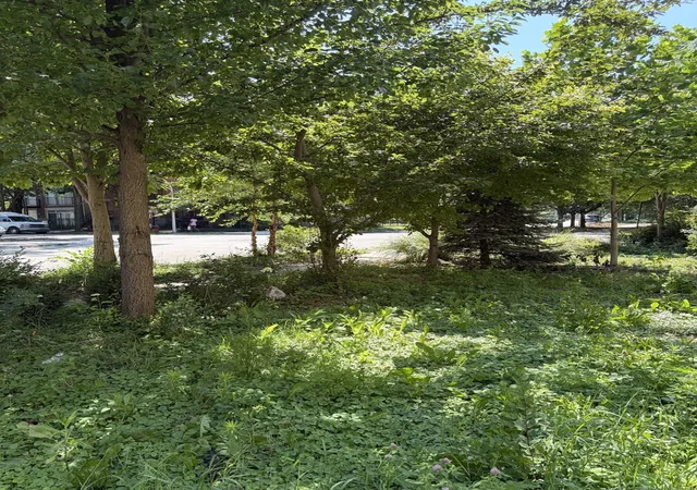Photo 8 of Land for sale at 1449 S Spaulding Ave, Chicago, IL 60623 | MLS# 12703763 | Listing updated on 2026-09-06