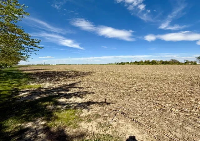4th image of 6835 W Stuenkel Rd, Monee, IL 60449 | MLS# 12703991
