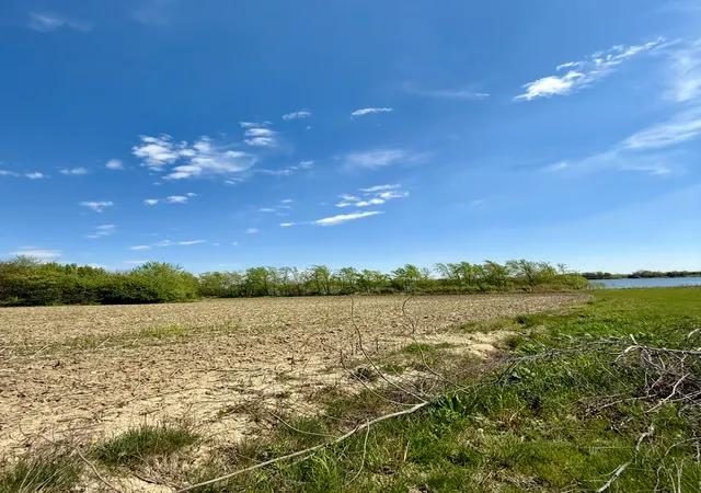 5th image of 6835 W Stuenkel Rd, Monee, IL 60449 | MLS# 12703991