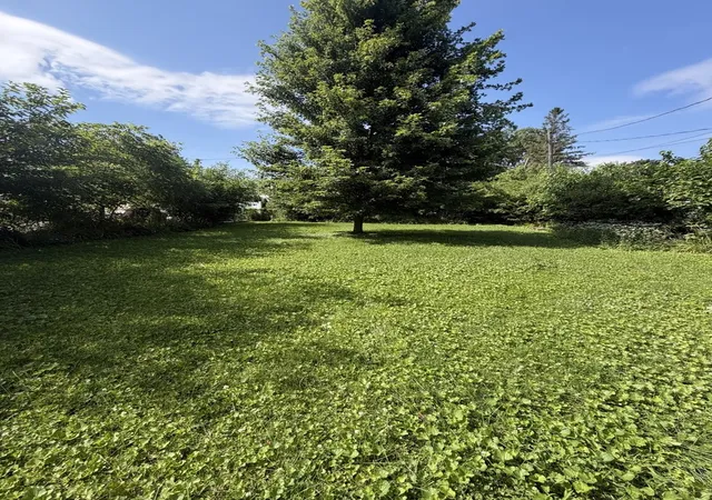 12th image of 8130 45th Pl, Lyons, IL 60534 | MLS# 12708113