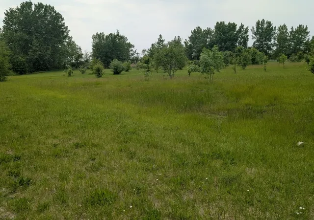 Photo 2 of Land for sale at 0 Gore Rd, Morris, IL 60450 | MLS# 12708761 | Listing updated on 2026-09-21