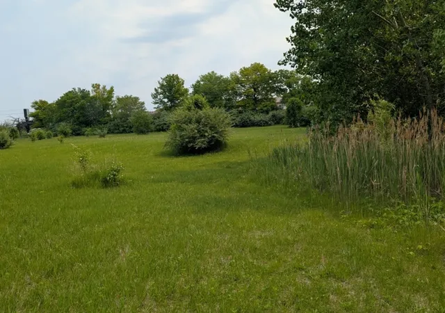 Photo 3 of Land for sale at 0 Gore Rd, Morris, IL 60450 | MLS# 12708761 | Listing updated on 2026-09-21