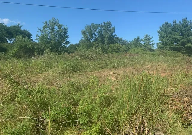 Land for sale at 13202 W Hart St, Wadsworth, IL 60083 | MLS# 12713210