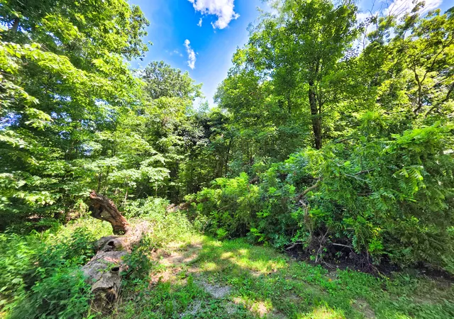 Photo 2 of Land for sale at 000 S Stanford Rd, Flora, IL 62839 | MLS# 12713472 | Listing updated on 2026-08-06