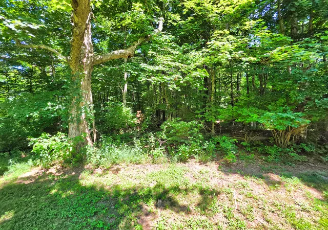 Photo 3 of Land for sale at 000 S Stanford Rd, Flora, IL 62839 | MLS# 12713472 | Listing updated on 2026-08-06