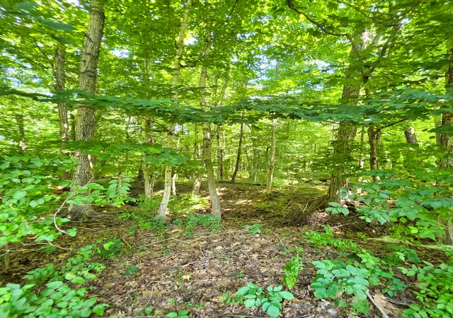 Photo 4 of Land for sale at 000 S Stanford Rd, Flora, IL 62839 | MLS# 12713472 | Listing updated on 2026-08-06