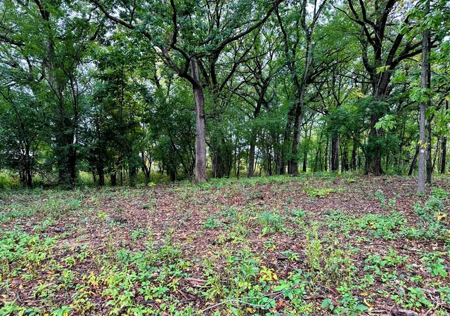 Photo 3 of Land for sale at 14942 W Concord Ct, Wadsworth, IL 60083 | MLS# 12713700 | Listing updated on 2026-07-31