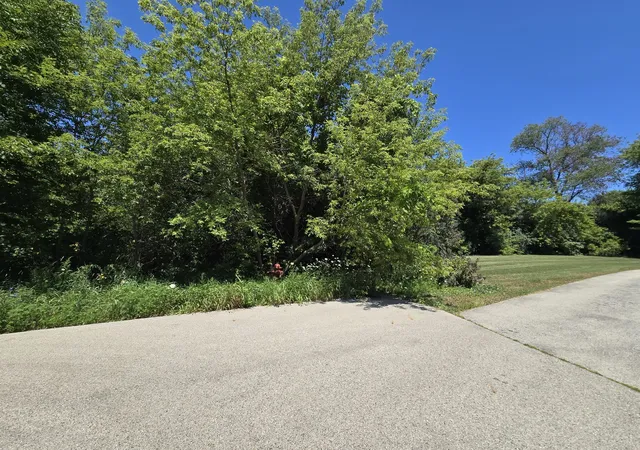 Land for sale at 0 Greenview Ave, Park City, IL 60085 | MLS# 12714045