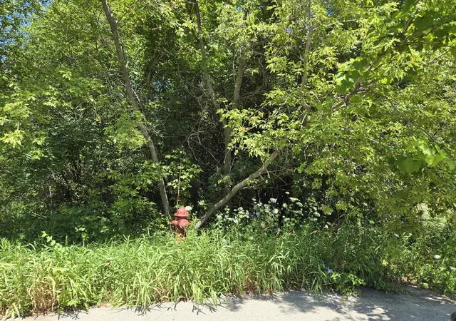 Photo 3 of Land for sale at 0 Greenview Ave, Park City, IL 60085 | MLS# 12714045 | Listing updated on 2026-08-03