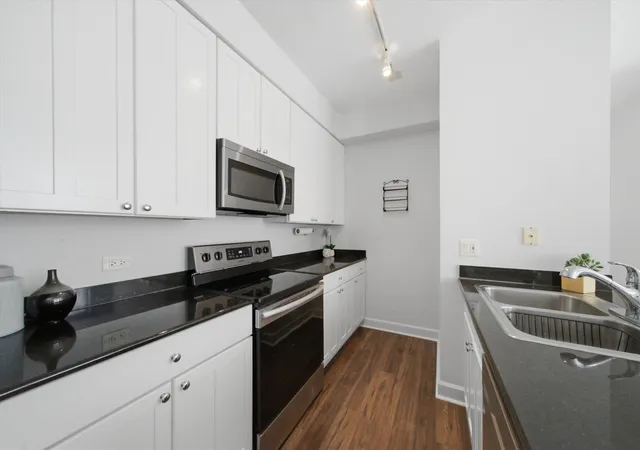 Listing Photo 4 - Condo for sale in building located at 421 W Huron St, Chicago, IL 60654 - Unit #1009
