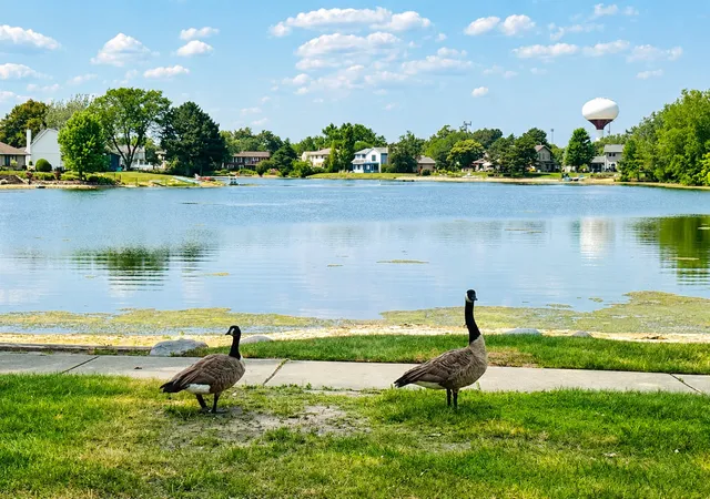 Photo 2 of Single family home for sale at 641 Independence Ave, Westmont, IL 60559 | MLS# 12717164 | Listing updated on 2026-10-04